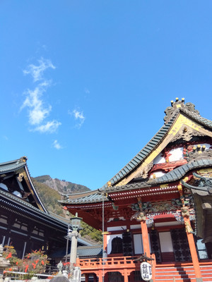 Img_20251230105349335