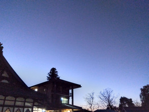 Img_20260104062041286