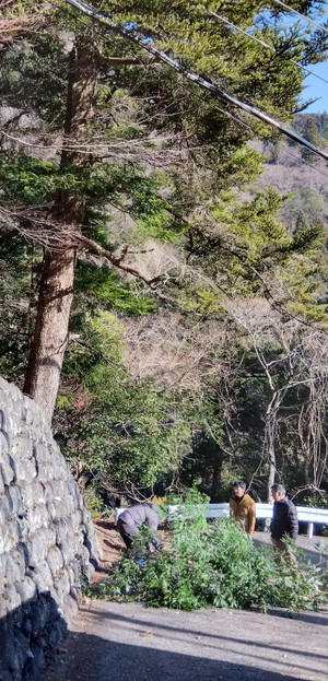 Img_20260111095447270