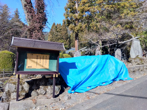 Img_20260112105542907