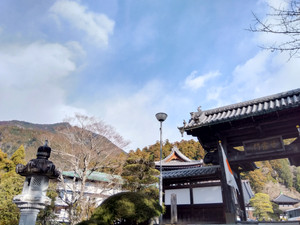 Img_20260113092636543