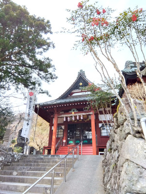 Img_20260115113106364