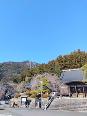 Img_20260116125534640