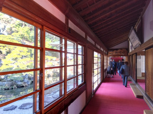 Img_20260116130537162