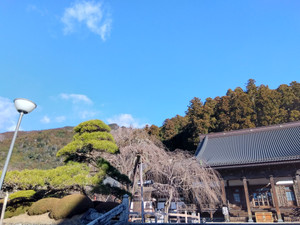 Img_20260122083608344_2