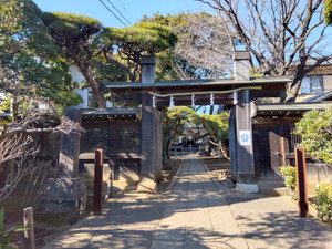 Img_20260123125548676