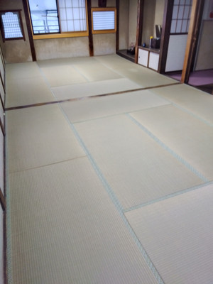 Img_20260127152703832