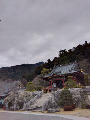 Img_20260128095241739