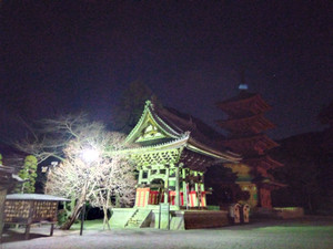 Img_20260201053550033