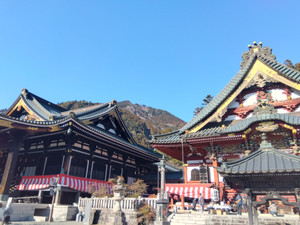 Img_20260203140740791