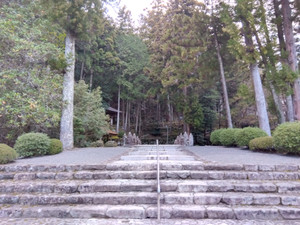 Img_20260208163756806