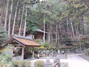 Img_20260208163826425