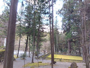 Img_20260208164229751