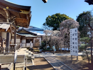 Img_20260209132157864