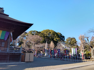 Img_20260209153714852