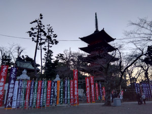 Img_20260210063248626