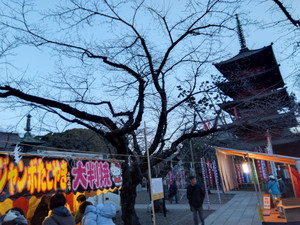 Img_20260210063343369_3