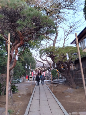 Img_20260210063701390_3