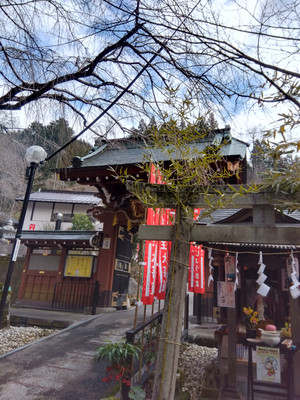 Img_20260212125114527