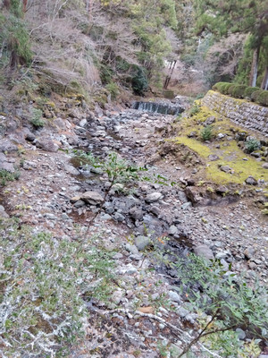 Img_20260208163843361