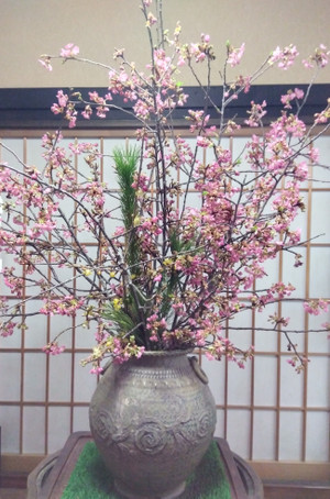 Img_20260222062906188