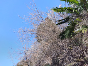 Img_20260223142056698