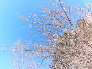 Img_20260223142103918