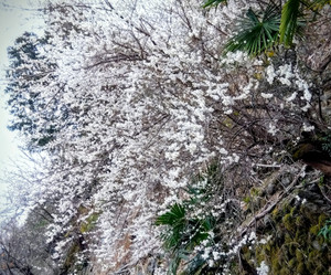 Img_202602271637082562