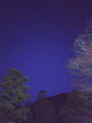 Img_20260301052647099