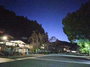 Img_20260301053201921