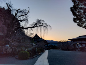 Img_20260301062514893