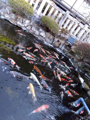 Img_20260301062550625