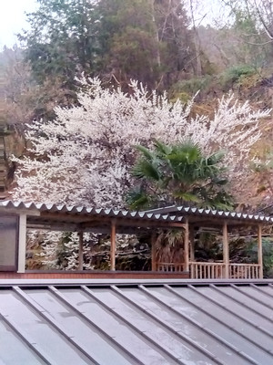 Img_20260303062010801 Img_20260303062010801