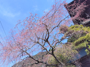 Img_20260309093503004