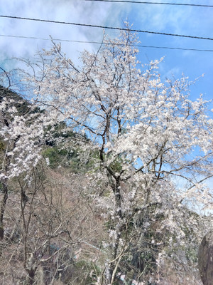 Img_20260309093553358