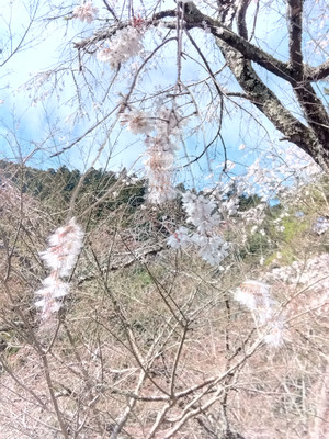 Img_20260309093607916