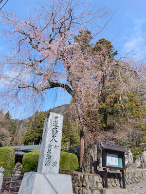 Img_20260309093715725