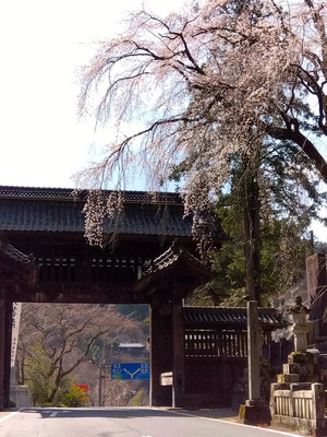 Img_20260309094028587