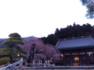 Img_20260310175720046