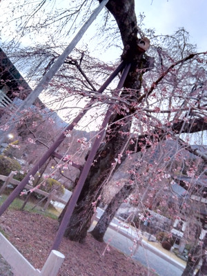 Img_20260310175749520