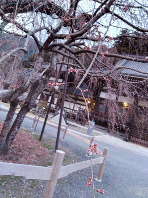 Img_20260310175757902