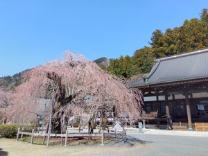 Img_20260314115515925