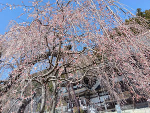 Img_20260314115525801