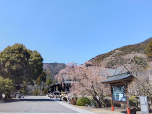 Img_20260314115613209