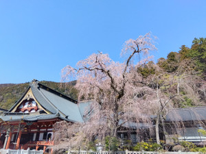 Img_20260314115646397