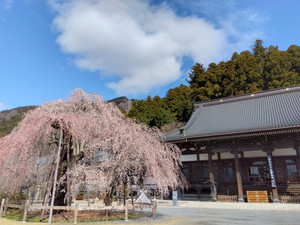 Img_20260316100606347