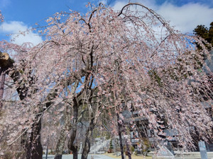 Img_20260316100617082