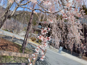 Img_20260316100623425