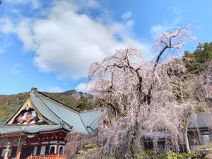 Img_20260316100724121