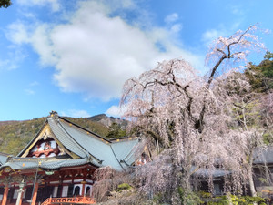 Img_20260316100728461